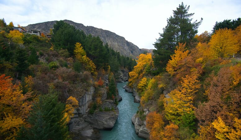 New Zealand Nature: Mountain, Colorful Trees & Water